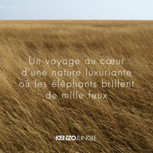 KENZO  3352818016207